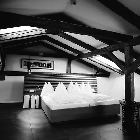 Hotel Arthotel Blaue Gans 4*